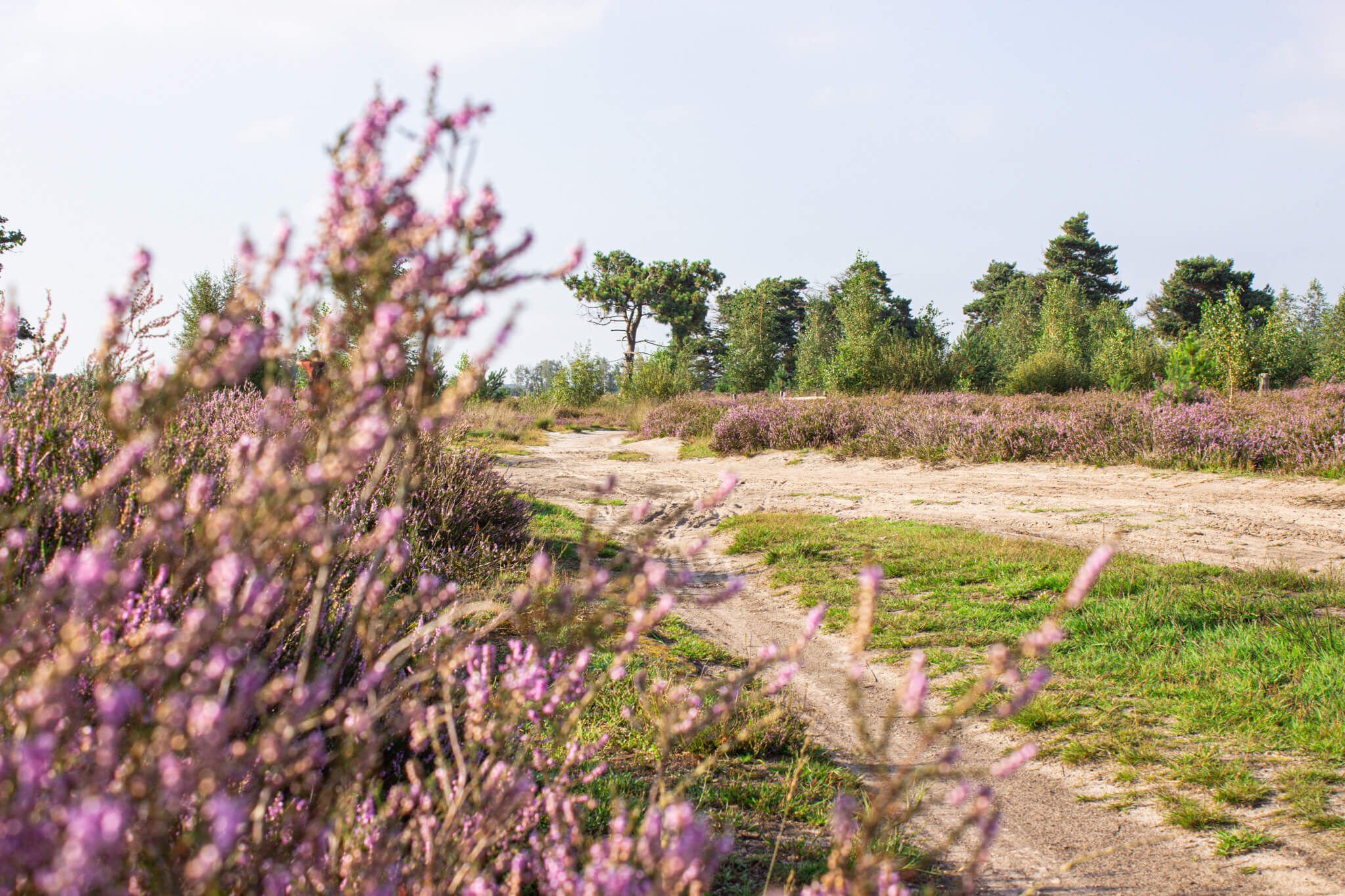 Top 5 losloopgebieden noord-brabant welkoop